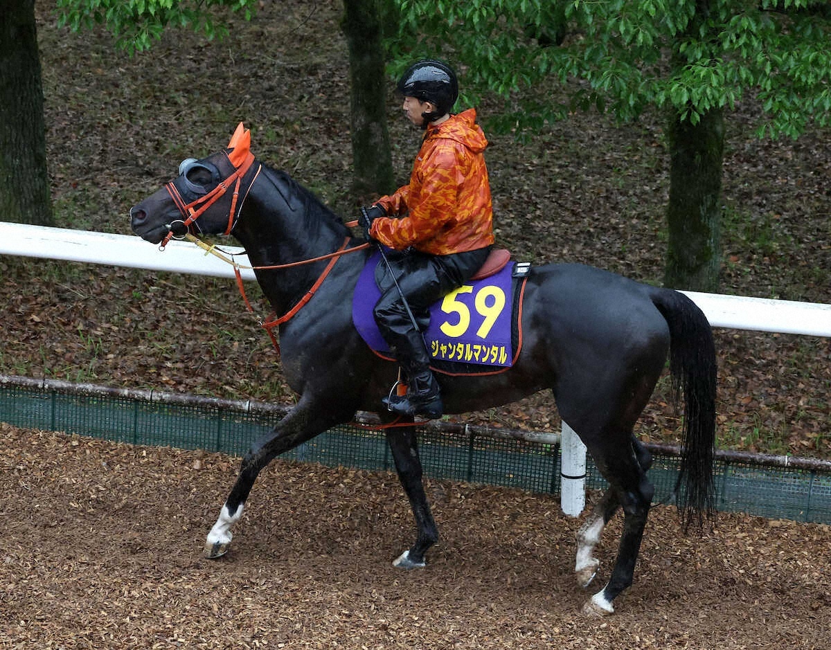 【競馬】安田記念(G1)　ジャンタルマンタルV！　川田将雅とのコンビで春のマイル王の座に就く